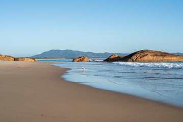 Horseshoe Bay NSW Australia