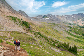 Fototapeta na wymiar Two Senior Women Hiking a Mountain Trail. The Ptarmigan Ridge Trail in the Mt. Baker National Forest is rocky from start to finish, lined with lupine and sedges, and patches of blueberries.