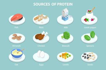 3D Isometric Flat Vector Conceptual Illustration of Sources Of Protein, Healthy Food Guide
