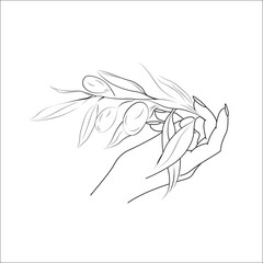 illustration of a leaf