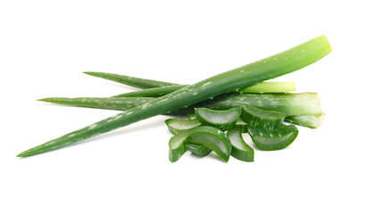 An aged of aloe tree on white background