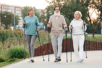 Group of senior people performing Nordic walking outdoors