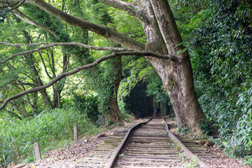 旧国鉄倉吉線廃線跡