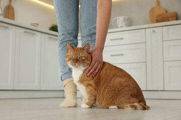 Woman petting cute cat in kitchen at home, closeup