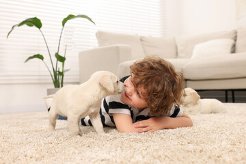 Little boy with cute puppies on beige carpet at home