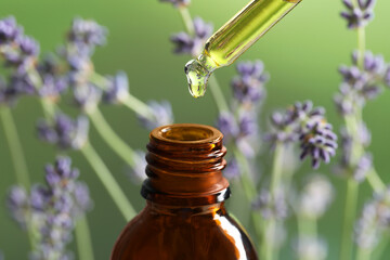 Dripping essential oil from pipette into bottle near lavender on green background, closeup