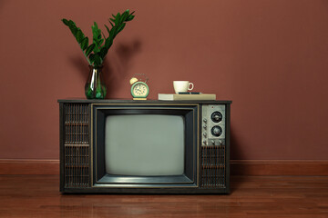 Retro old TV on wooden floor in the vintage room with flower pots.