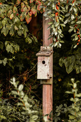 wooden bird house in the fall.