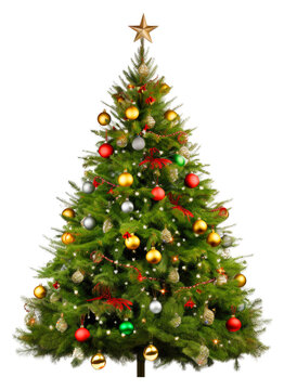 Christmas Tree Isolated on Transparent Background
