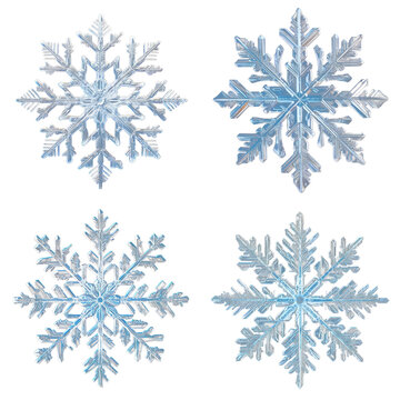 Snowflake Set Isolated on Transparent Background
