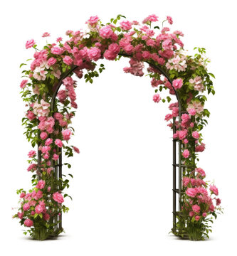 Garden Flower Arch Isolated on Transparent Background
