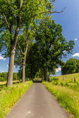 Fototapeta na wymiar Rural road near Lobendava, Czech Republic