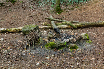 Remnants of a campfire in a forest in the Czech Republic