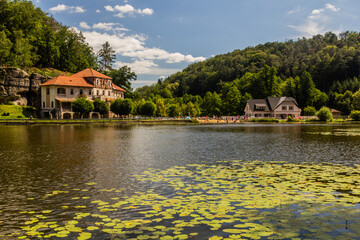 Fototapety na wymiar - Fototapeta24.pl
