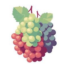 Fresh grape bunches on leafy green backdrop