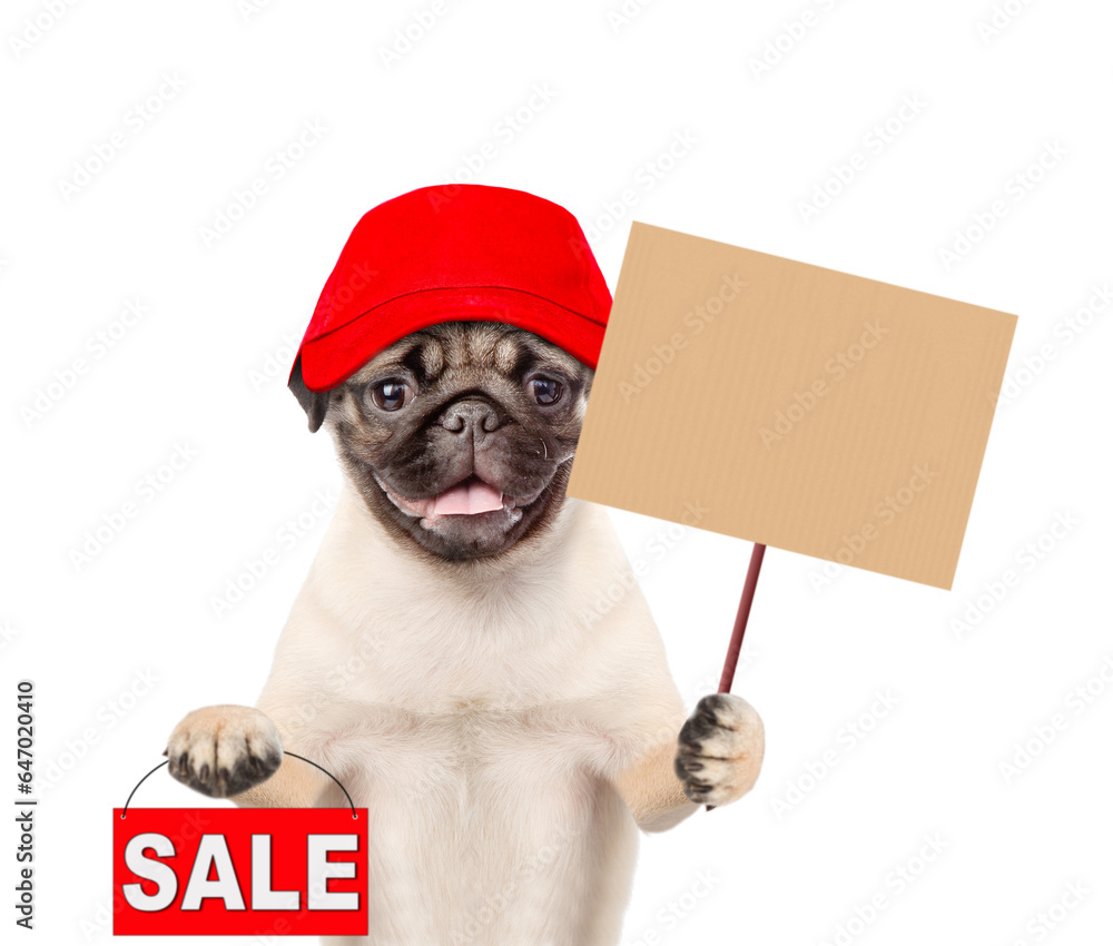 Poster happy pug puppy wearing red cap showing empty poster on wooden stick and shows signboard with labele