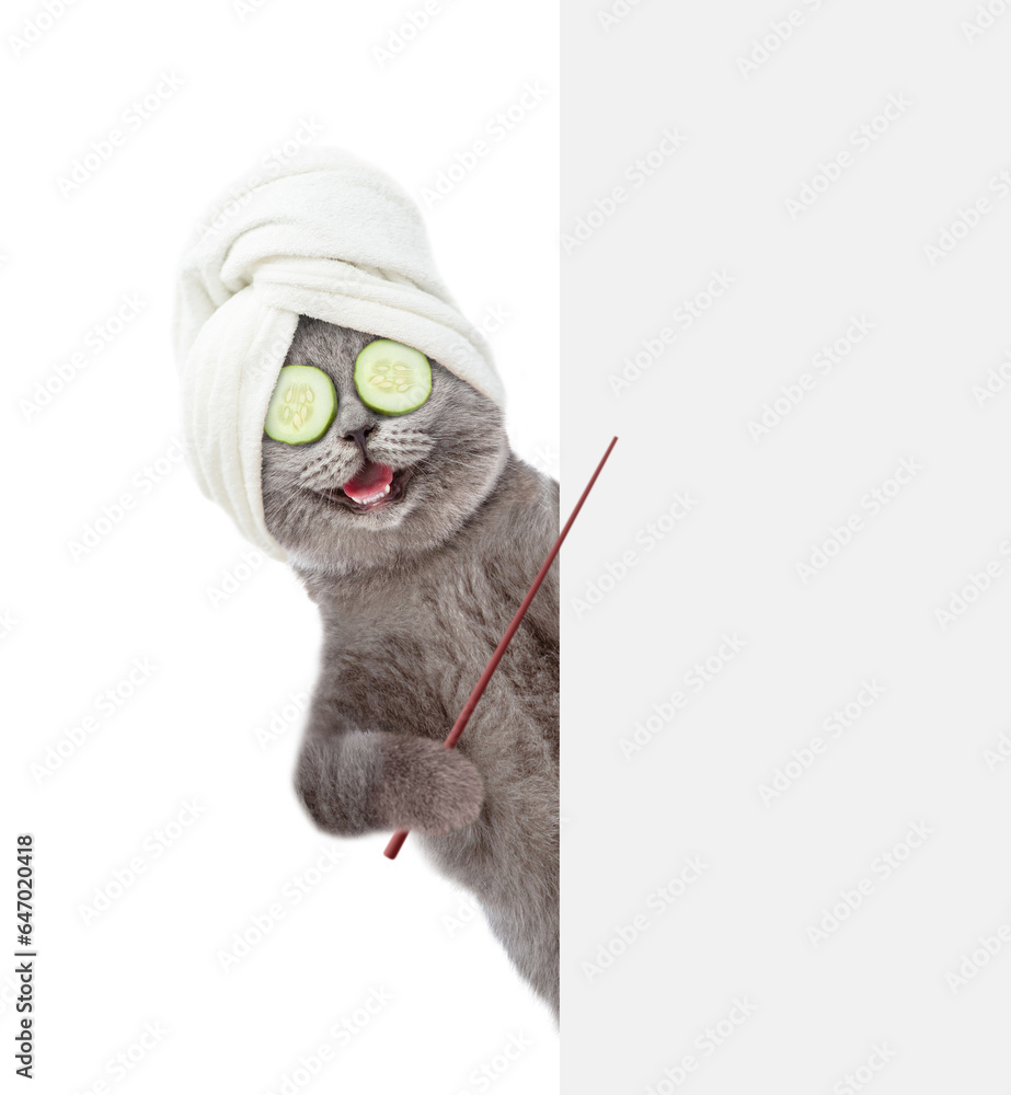 Aufkleber Happy cat with towel on it head and pieces of cucumber on it eyes points on empty white banner. isolated on white background