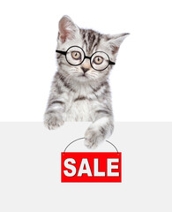 Smart tabby cat  holds signboard with labeled "sale" above empty white banner. isolated on white background