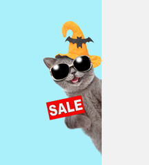 Happy cat wearing sunglasses and hat for halloween looks from behind empty white banner and shows signboard with labeled "sale". Isolated on blue background
