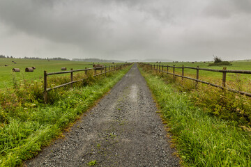 Fototapeta na wymiar Path in pastures near the southernmost point of the Czech Republic