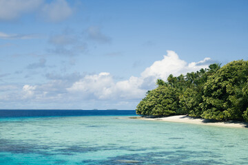Remote Tropical Island