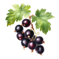 watercolor of berries and leaves in a fantasy style with a white background. AI-Generated