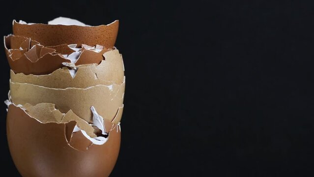 Close-up of rotating egg shells.