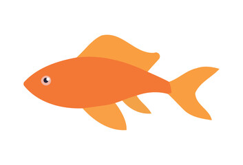 Cute goldfish swimming in tropical sea life