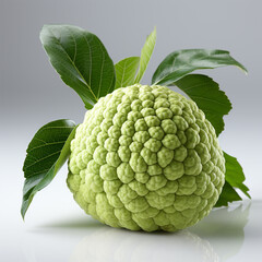 Fresh ripe srikaya fruit is light green in color