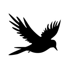 Bird silhouettes, bird flying and standing silhouettes detailed