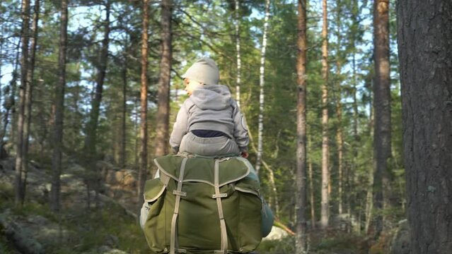 Father with small child hiking outdoors in summer nature. A man and a boy go hiking in forest with a backpack in Finland. Son sitting on his father's shoulders. Back view