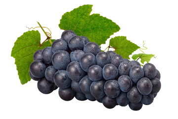 Fototapeta premium 葡萄