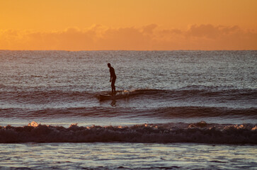 Fototapeta na wymiar silhouette man surfing paddle surf in Sunshine Coast Queensland Australia at sunrise