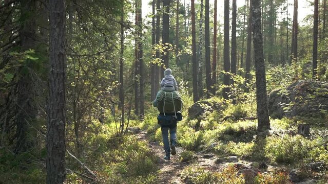 Father with small child hiking outdoors in summer nature. A man and a boy go hiking in forest with a backpack in Finland. Son sitting on his father's shoulders. Back view