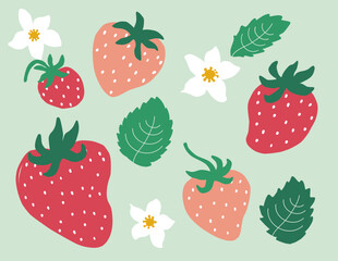 Red Pink Strawberries with leafs and flowers
