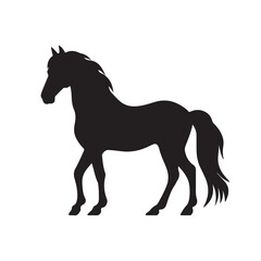 pony silhouette