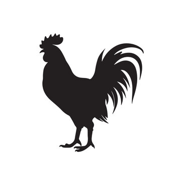 rooster silhouette