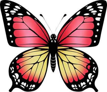 A  vibrant color butterfly on a white background. AI- Generative