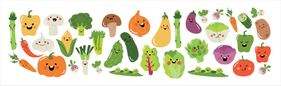 Set of vegetable vector illustration