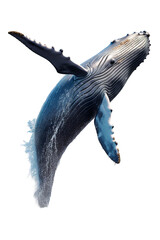 Fototapeta premium a Whale jumping out of water isolated on white background PNG