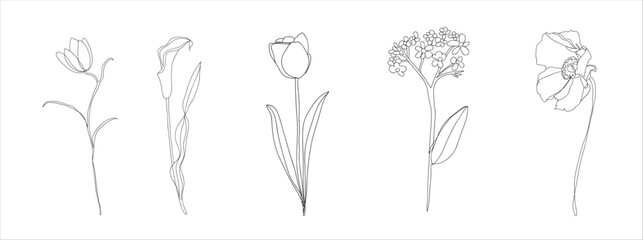 Set of abstract flower line art. Aesthetic flower line art. Set of single line art beauty flower