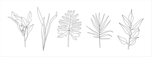 Hand drawn sketch line art of a leaves. Abstract leaves line art. Aesthetic single line art leaves vector illustration. 