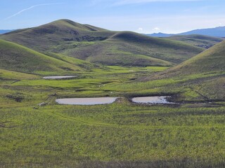 Rain water ponds from winter rains in the East Bay Hills near San Francisco, California