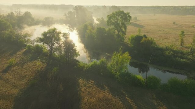 Morning fog smoke river nature park nature sky travel outdoor
