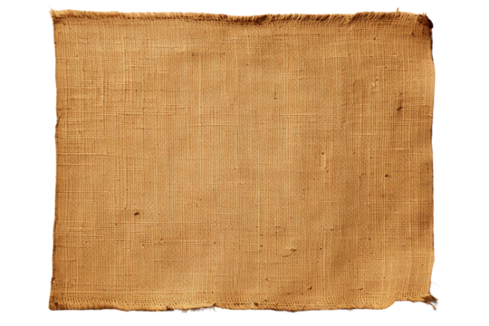 On a white backdrop, a torn piece of burlap, generative AI
