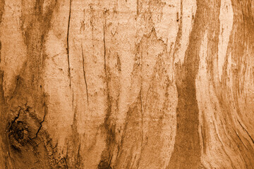 Old brown paper parchment background 