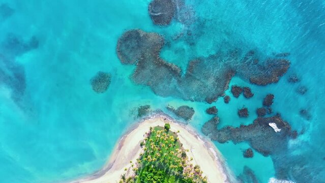 Green palm trees on the white sand of a sea beach on a tropical island from a bird's eye view. Blue lagoon and beautiful sandy beach. Landscape of exotic nature. Caribbean palm beach. Summer holidays.