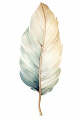 Simple boho leaf image isolated on white. Watercolor style.