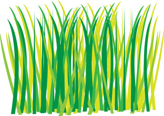 Plant Grass Illustration