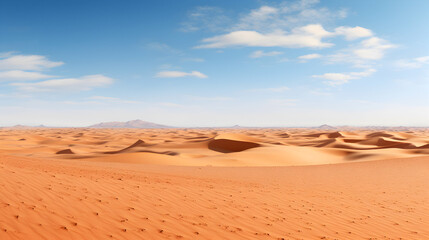 Fototapeta na wymiar Panoramic view from Sahara desert.